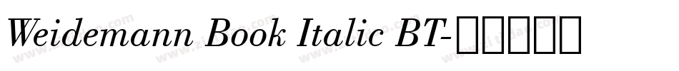 Weidemann Book Italic BT字体转换